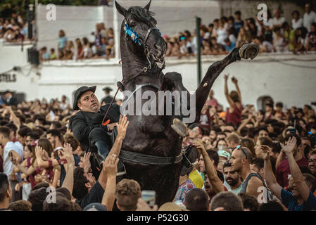 Ciutadella, Spain. 24 June, 2018:  A 'caixer' (horse rider) rears up on his horse surrounded by a cheering crowd at the beginning of the 'Jocs des Pla' (medieval tournament) during the traditional 'Sant Joan' (Saint John) festival in Ciutadella de Menorca Credit: Matthias Oesterle/Alamy Live News Stock Photo