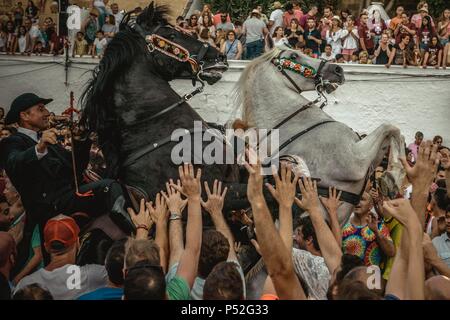 Ciutadella, Spain. 24 June, 2018:  A 'caixer' (horse rider) rears up on his horse surrounded by a cheering crowd at the beginning of the 'Jocs des Pla' (medieval tournament) during the traditional 'Sant Joan' (Saint John) festival in Ciutadella de Menorca Credit: Matthias Oesterle/Alamy Live News Stock Photo