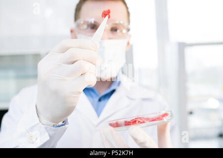 Scientist holding meat sample Stock Photo