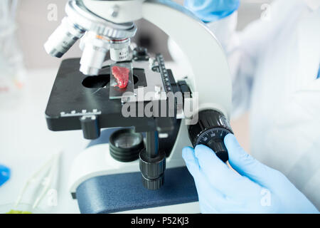 Scientist studying meat sample under microscope  Stock Photo