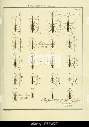 Entomologie, ou, Histoire naturelle des insectes :.