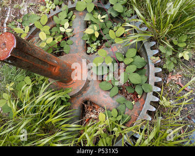 cogs and gears vintage Stock Photo