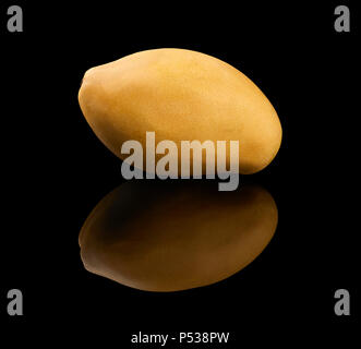 One yellow mango fruit isolated on black reflective background Stock Photo