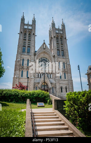Basilica of Our Lady Immaculate in Guelph, Ontario, Canada Editorial  Photography - Image of local, travel: 124142672