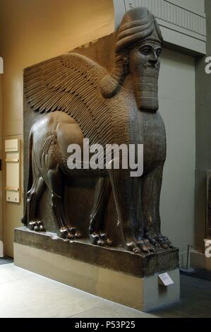 Colossal statue of a winged lion with a human face. 865-860 BC. From Northwest Palace of Ashurnasirpal II. Nimrud. British Museum. London. United Kingdom. Stock Photo