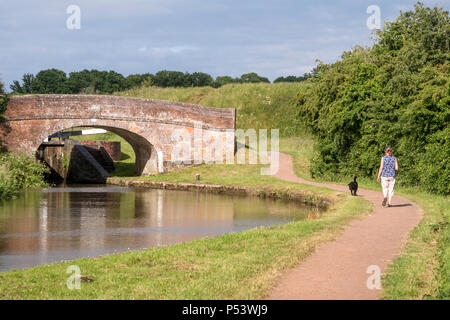 A woman walking her dog on the Worcester and Birmingham canal near Tardebigge, Worcestershire, England, UK Stock Photo