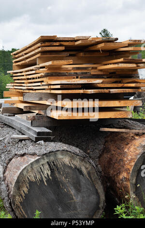 A pile of rough cut lumber drying on top of large pine logs at a saw mill in the Adirondack Mountains, NY USA Stock Photo