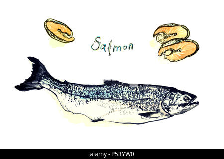 Salmon fish and pieces, isolated hand painted watercolor and ink illustration Stock Photo