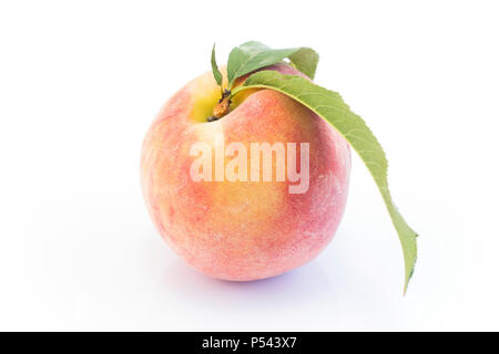 Peach Isolated on White Background. Stock Photo