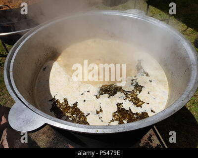 Polish soup roast in a large saucepan. outdoor stroll Stock Photo