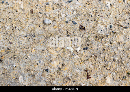 texture dirt floor with random stones Stock Photo