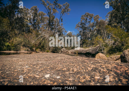 Creek Bed in Megalong Valley, Blue Mountains, NSW, Australia Stock Photo