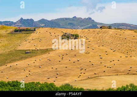 View of a field of straw bales in the countryside of northern Sicily near Casaro Stock Photo