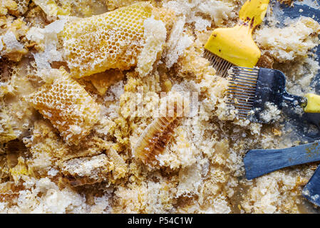 Raw honeycomb Stock Photo