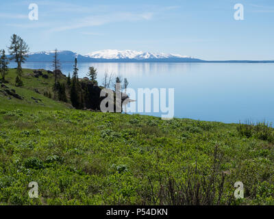 Yellowstone Lake with lush grass in the foreground, a rocky coastline and the snow capped mountains of the Absaroka Mountain Range in the background. Stock Photo