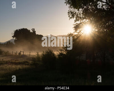 Sun Rising Over Fence sun rising through trees and fence Stock Photo - Alamy