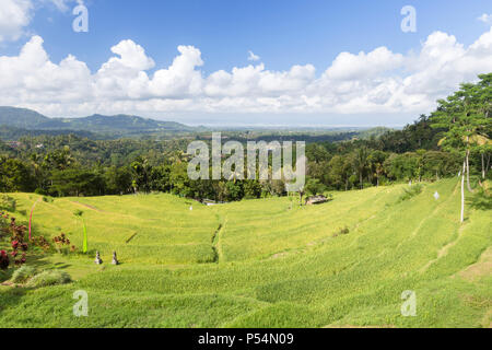 Sidemen, crescent of rice terraces on the road to Semarapura, Bali, Indonesia Stock Photo