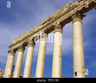 ARTE ROMANO. SIRIA. TEMPLO DE BEL. Edificio construido en época augustea, periodo de mayor prosperidad de la ciudad. Detalle de las columnas de orden corintio. (S. I d. C.). PALMIRA. (Oasis de Tadmor, al N. E. de Damasco) . Stock Photo