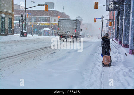 Views of Ottawa, Canada during snow storm in winter during daytime Stock Photo