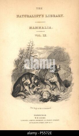 Title page with vignette of St. Bernard dogs beside an unconscious man. Engraving on steel by William Lizars from a drawing by Colonel Charles Hamilton Smith from Sir William Jardine's 'Naturalist's Library: Dogs' published by W. H. Lizars, Edinburgh, 1839. Stock Photo