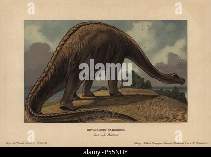 Download Colour Illustration Of A Diplodocus Stock Photo Alamy