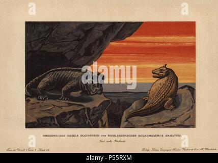 Geikia elginensis, extinct genus of non-mammalian synapsid, and ...