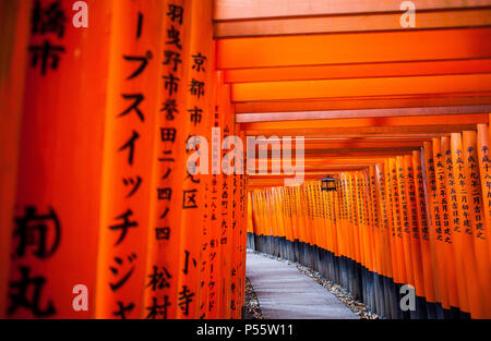 Torii gates at Fushimi Inari-Taisha sanctuary,Kyoto, Japan Stock Photo