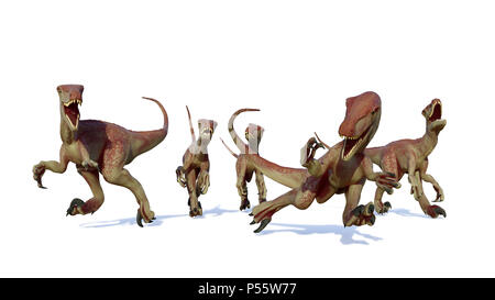 velociraptor pack, hunting theropod dinosaurs, 3d illustration isolated on white background Stock Photo