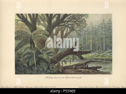 An archegosaurus by a river bank in a tropical primordial jungle of ferns and pines. . . Archegosaurus is a genus of amphibian which lived during the Asselian to Wuchiapingian ages of the Permian era. Extinct. . . Colour printed illustration by Heinrich Harder from 'Tiere der Urwelt' Animals of the Prehistoric World, 1916, Hamburg. Heinrich Harder (1858-1935) was a German landscape artist and book illustrator. From a series of prehistoric creature cards published by the Reichardt Cocoa company. Natural historian Wilhelm Bolsche wrote the descriptive text. Stock Photo