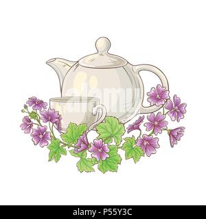 malve tea in teapot illustration on white background Stock Vector
