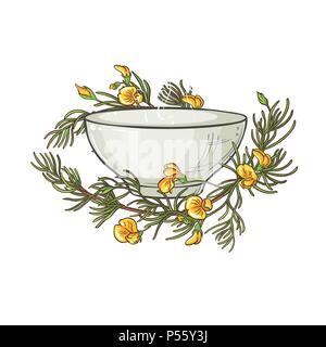 rooibos tea in tea bowl illustration on whte background Stock Vector