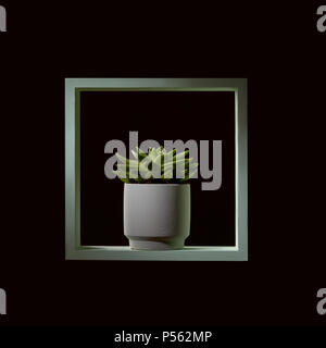 Wooden green frame with echeveria in a flowerpot on a black background Stock Photo