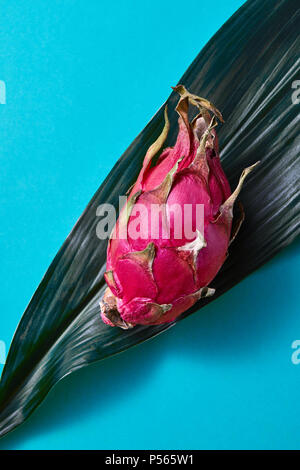 dragon fruit on a green palm leaf on a blue background Stock Photo