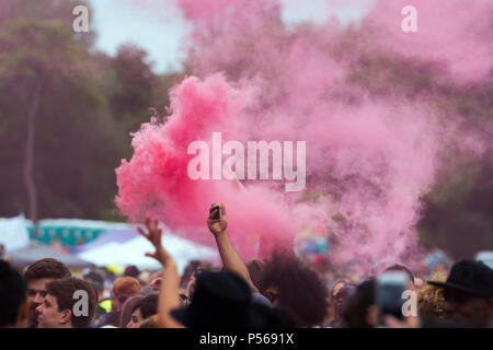 Red pyrotechnic flare being set off in the crowd at the 2018 Africa Oye music festival in Sefton Park, Liverpool. Stock Photo