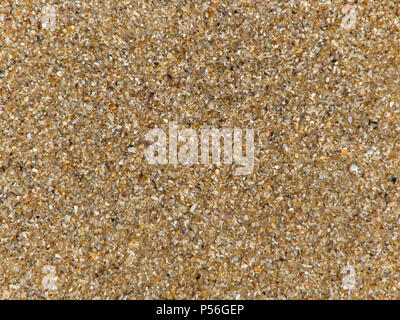 Texture of small pieces of colorful seashells and little multi-colored pebbles on sea or ocean coast Stock Photo