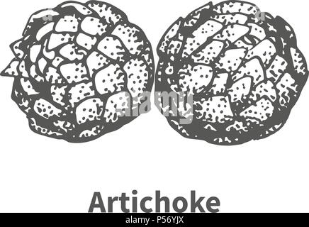 Vector illustration hand-drawn artichoke Stock Vector