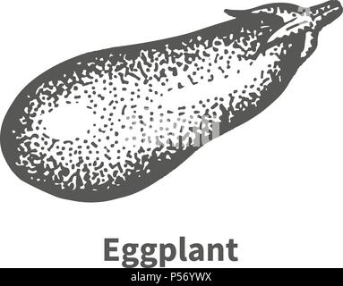 Vector illustration hand-drawn eggplant Stock Vector