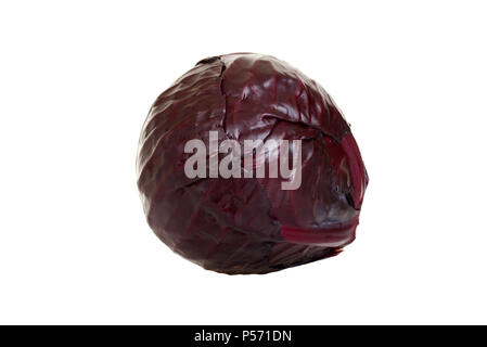 Isolated red cabbage Stock Photo