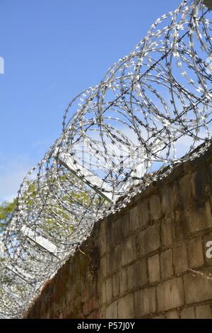 Barbed wire on a fence Stock Photo