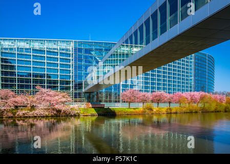 Strasbourg, European Parliament, Louise Weiss building, footbridge over Ill river, Alsace, France, Europe, Stock Photo