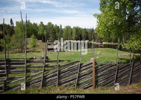 Simple fence construction made from available materials, Norway. Stock Photo