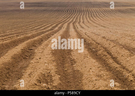 Rural landscape with plowed farm field, natural light Stock Photo