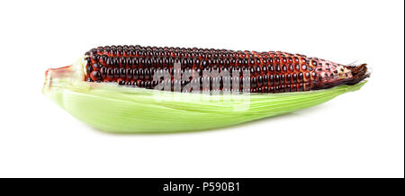 Isolated sweet corn. sweet purple corn with leaves isolated on white background Stock Photo