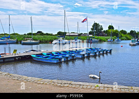 Quay Leisure Boats for hire lined up at moorings on the river Stour Estuary at Christchurch Quay, Dorset with regal swan in foreground Stock Photo