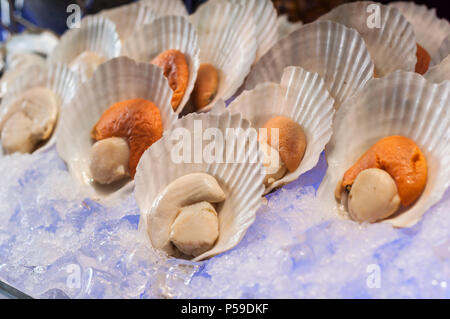 scallops on ice Stock Photo