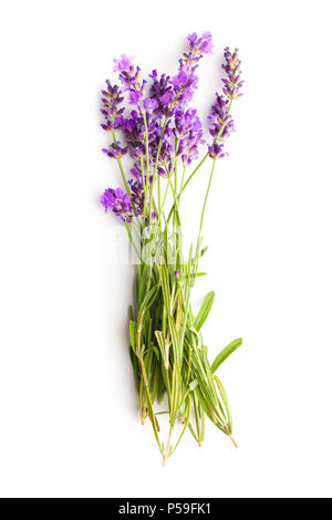 The lavender flowers isolated on white background. Stock Photo