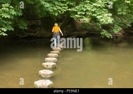 Woman crossing the stepping stones over the river mole at Box Hill in Surrey, UK Stock Photo