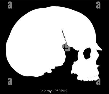 simple skull in profile Stock Vector