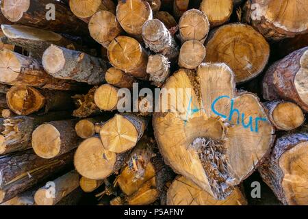 Cut sawn logs piled up in wood yard at Chur, Switzerland Stock Photo