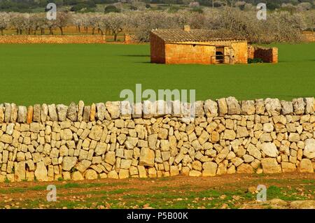 Muro de pared seca y casa de aperos. Cerca de Santanyi. Migjorn. Mallorca. Baleares.España. Stock Photo